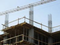 Imagine atasata: Vivalia Bulbuca - 2016.02.28 - 09.jpg